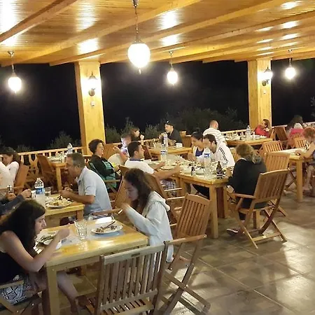 카박 아르메스 파랄리아